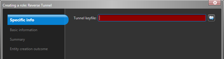 Creating a role dialog in Config Tool showing the specific info section when creating a reverse tunnel.